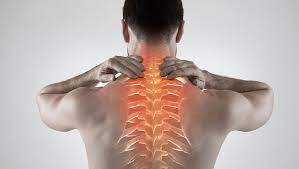 Back Pain Relief: Stretches, Posture Tips, and When to See a Doctor